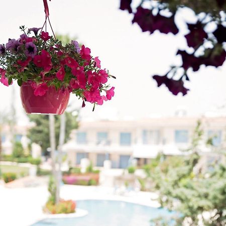Holiday Apartment Walking Distance To The Sea Paphos Exteriör bild