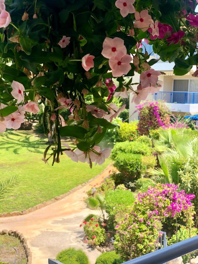 Holiday Apartment Walking Distance To The Sea Paphos Exteriör bild