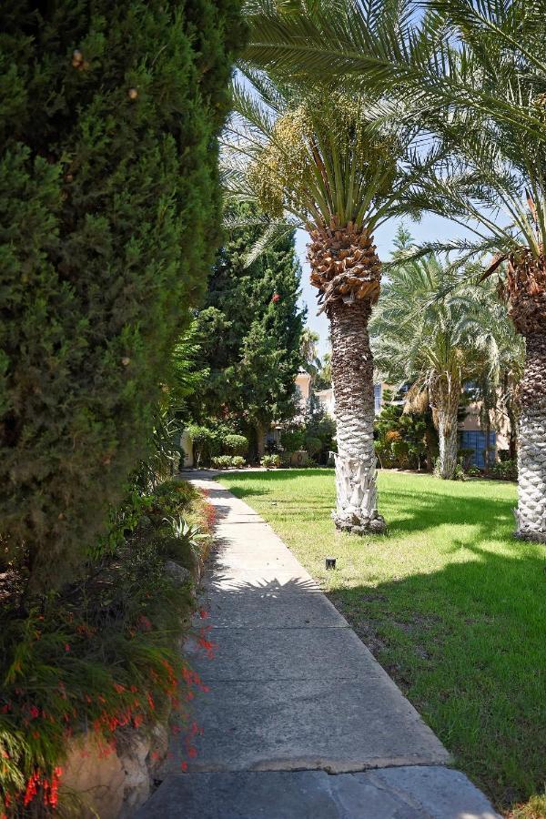Holiday Apartment Walking Distance To The Sea Paphos Exteriör bild
