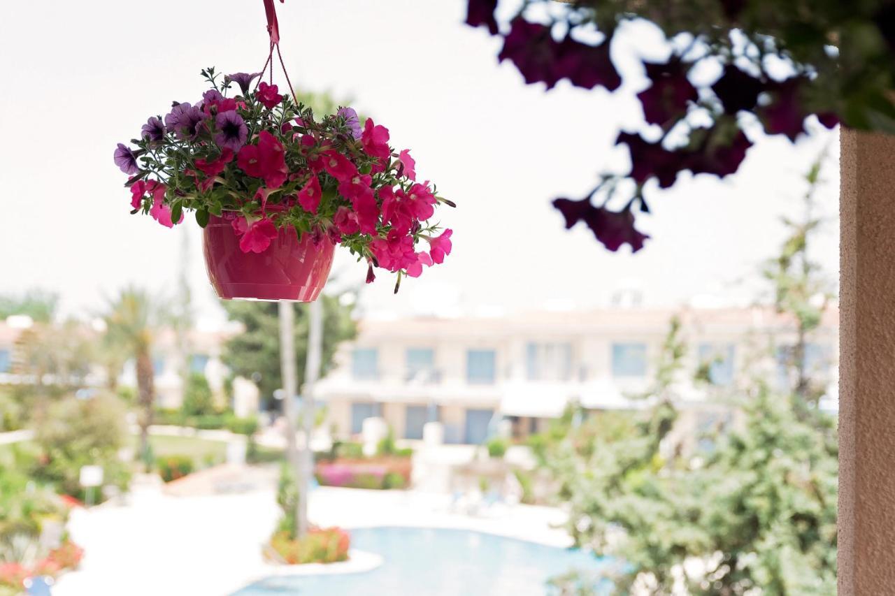 Holiday Apartment Walking Distance To The Sea Paphos Exteriör bild