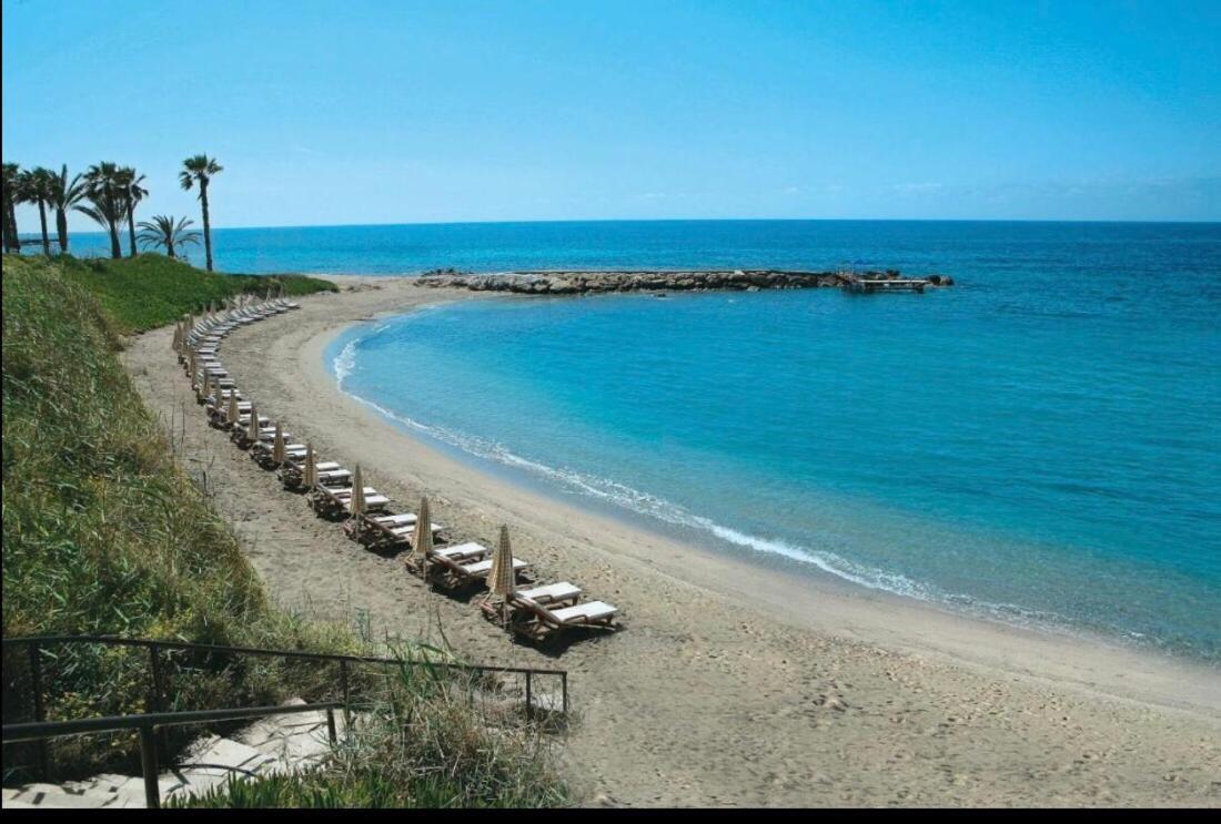 Holiday Apartment Walking Distance To The Sea Paphos Exteriör bild